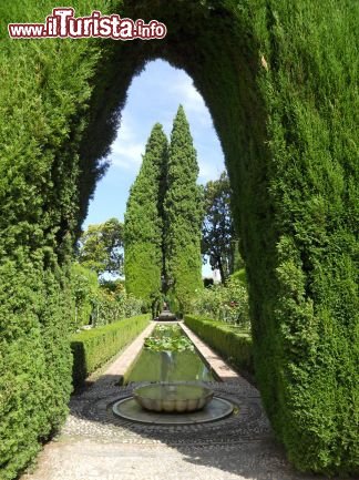 Immagine Alhambra - Granada