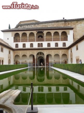 Immagine Palacios Nazares .... Patio dei Mirti - Granada