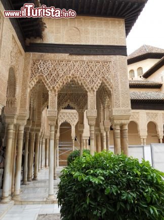 Immagine Patio dei Leoni - Granada