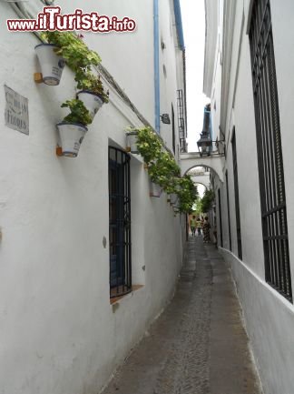 Immagine Calleja de las Flores - Cordoba