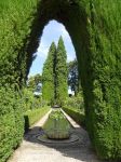 Alhambra - Granada