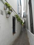 Calleja de las Flores - Cordoba