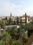 visuale dall'Alcazar dei Re Cristiani  - Cordoba 