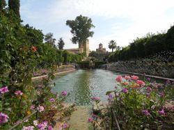 nei giardini dell'Alcazar dei Re Cristiani -  ...