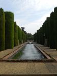 nei giardini dell'Alcazar dei Re Cristiani - Cordoba