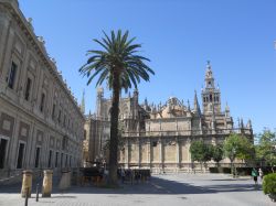 Catedral y Giralda - Siviglia 