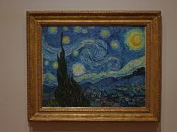 La famose "Notte stellata" di Vincente ...