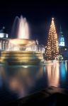 Albero di Natale e fontana in visione notturna a Trafalgar Square, la centralissima piazza di Londra - © www.visitlondon.com/it
