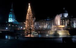 Natale a Trafalgar Square: decorazioni e spettacolo di luci nella notte di Londra - © www.visitlondon.com/it