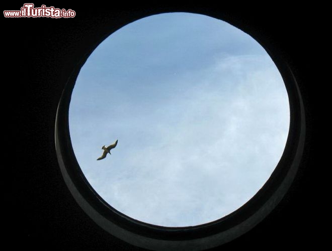 Immagine L'Apertura della cupola del Pantheon a Roma (chiamato come l'oculus) con un Gabbiano in volo. Una tradizione vuole che la pioggia nopn riesca ad entrare attraverso il foro, ma in realtà quando piove il pavimento all'interno si bagna!