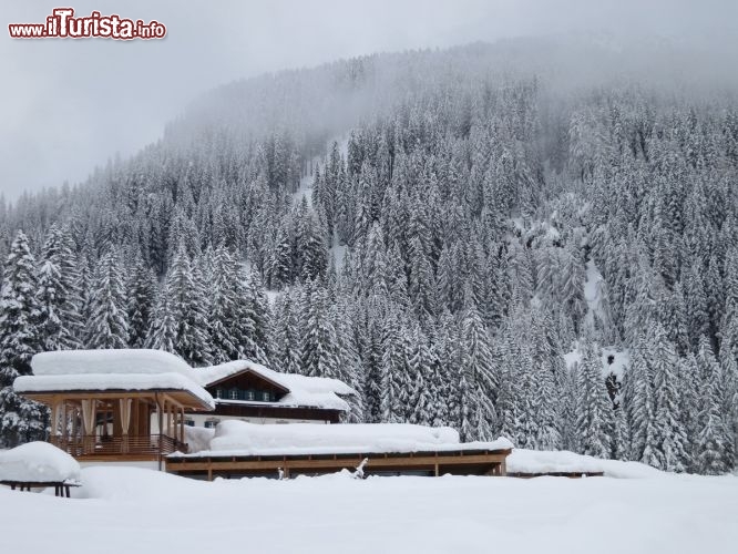 Immagine Val Fiscalina durante una nevicata. E' una delle vallli migliori per la pratica dello sci di fondo