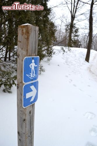 Immagine Ciaspole, Quebec: i canadesi sono grandi amanti degli sport invernali e dei sentieri nei boschi, Nel Parc de la Chute-Montmorency esistono percorsi appositamente dedicati a chi volesse cimentarsi in un'avventura sulla neve con le ciaspole.