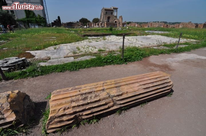 Immagine Colonne sparse sul colle Palatino, all'interno del Foro Romano