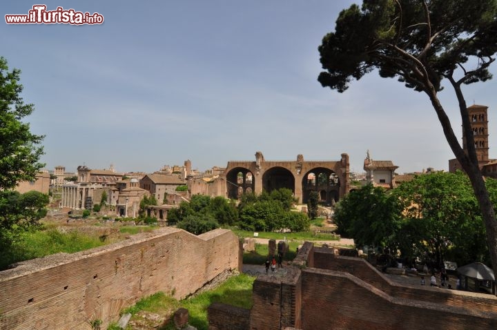 Immagine Foro Romano: sullo sfondo la Basilica di Massenzio