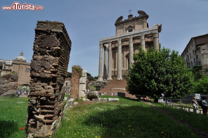 Immagine Foro di Roma: il Tempio di Antonino e Faustina