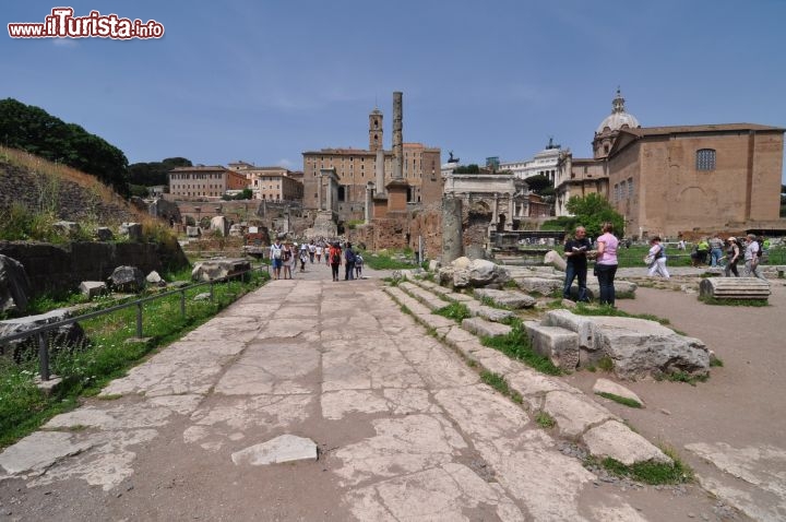 Cosa vedere e cosa visitare Foro Romano