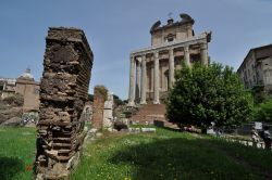 Foro di Roma: il Tempio di Antonino e Faustina ...