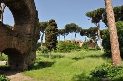 Ingresso orientale del Foro Romano: le rovine sono rese ancora più belle dalla presenza dei Pini Marittimi secolari