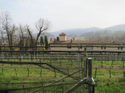 Le campagne del Ticino dove si trova il Ristorante Montalbano