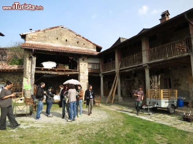 Immagine Il centro Prospecierara a San Pietro in Stabio, Canton Ticino (Svizzera)