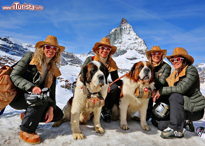 Il team in compagnia dei cani S.Bernardo a Zermatt - © DONNAVVENTURA® 2014 - Tutti i diritti riservati - All rights reserved 