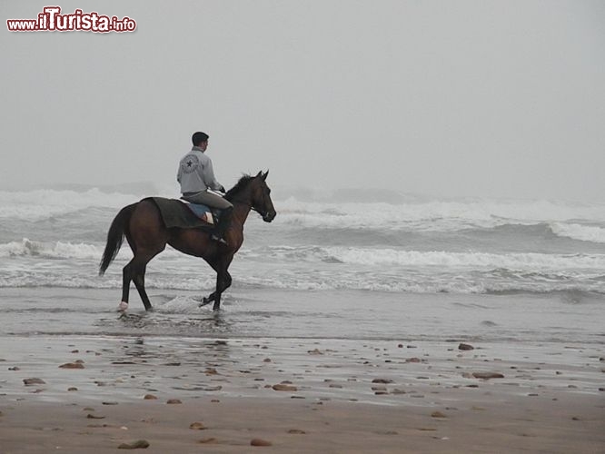 Cavallo sulla spiaggia di El Jadida - Il mare sul quale si affaccia il Mazagan Resort difficilmente permette la balneazione a causa delle basse temperature e delle elevate correnti, ma la sua spiaggia diventa teatro di suggestive escursioni a cavallo o con cammello
