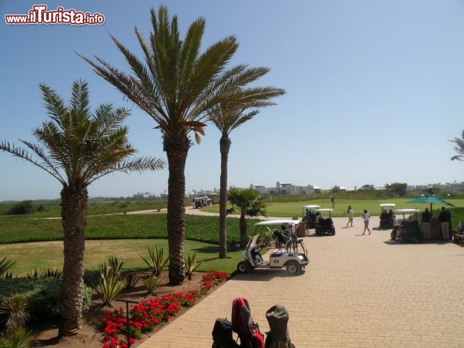 Campo Golf del Resort Mazagan in Marocco -  Tra le proposte del Mazagan Beach & Golf Resort troviamo attività per ogni esigenza ed ogni necessità viene ampiamente soddisfatta.
Le 18 buche del campo da golf con vista sull’oceano sono la meta ideale per appassionati di ogni livello, che, grazie al clima mite, possono praticare questo sport tutto l’anno. Il Mazagan Golf Club è stato progettato dal campione sudafricano Gary Player ed è stato disegnato seguendo fedelmente i movimenti delle dune di sabbia, integrandosi armoniosamente con il territorio senza stravolgerne la morfologia.
Nella realizzazione di questo progetto, come di tutta la struttura, ampia importanza è stata data al rispetto dell’ecosistema. L’acqua che viene utilizzata per l’irrigazione del campo da golf deriva da un trattamento di filtrazione dell’acqua marina, e l’erba utilizzata è stata scelta in base alla sua forte tolleranza alla salinità.


