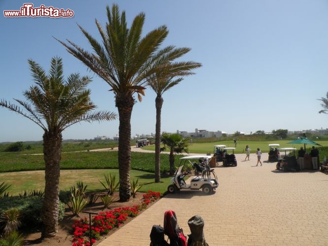 Campo Golf del Resort Mazagan in Marocco -  Tra le proposte del Mazagan Beach & Golf Resort troviamo attività per ogni esigenza ed ogni necessità viene ampiamente soddisfatta.
Le 18 buche del campo da golf con vista sull’oceano sono la meta ideale per appassionati di ogni livello, che, grazie al clima mite, possono praticare questo sport tutto l’anno. Il Mazagan Golf Club è stato progettato dal campione sudafricano Gary Player ed è stato disegnato seguendo fedelmente i movimenti delle dune di sabbia, integrandosi armoniosamente con il territorio senza stravolgerne la morfologia.
Nella realizzazione di questo progetto, come di tutta la struttura, ampia importanza è stata data al rispetto dell’ecosistema. L’acqua che viene utilizzata per l’irrigazione del campo da golf deriva da un trattamento di filtrazione dell’acqua marina, e l’erba utilizzata è stata scelta in base alla sua forte tolleranza alla salinità.

