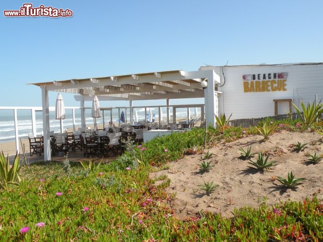 Ristorante palm grill al Resort Mazagan in Marocco - Nell’ideazione del Resort ampia rilevanza è stata riservata ai locali dove poter assaporare la cucina tipica marocchina talvolta rivista in chiave internazionale. L’ospite può scegliere tra le 9 proposte offerte quella più vicina ai propri gusti. All’Olive’s, collocato in prossimità della piscina e dei giardini interni, vengono servite colazioni e pranzi a buffet. La posizione del Ristorante Oasis lo rende il luogo ideale per coloro che prediligono uno spuntino leggero e veloce per godere appieno del relax delle palme a bordo piscina.. Accanto al campo da Golf è situato il Ristorante Mazagan Club House nel quale si può pranzare alla carta con una rasserenante vista sull’Atlantico.

Poco distante della lobbies, al Cafè Atrium possiamo assaggiare il famoso tè alla menta marocchino, oppure al Fauchon Paris possiamo viziarci con meravigliosi dolci della tradizione francese come i Macarons e le Madeleines.
Gli ampi spazi che sono stati riservati ai locali e la varietà di scelta offerta permette di gestire al meglio le richieste dell’elevato numero di clienti presenti, così che l’ospite possa vivere esperienze diversificate ma sempre contraddistinte da familiarità ed eleganza.