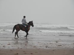 Cavallo sulla spiaggia di El Jadida - Il ...