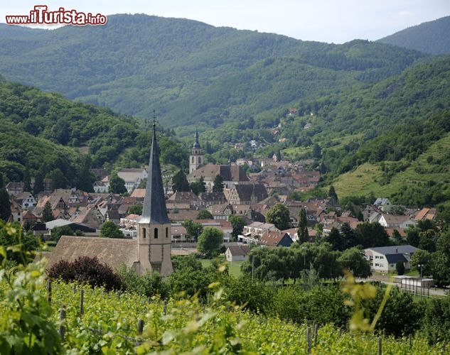 Andlau, regione Alsazia:
La fortezza di Andlau, con le sue due torri inconfondibili, si staglia tra i boschi secolari e i vigneti ai piedi del massiccio dei Vosgi. Ma oltre alla fortezza, che simboleggiava la potenza dei Signori di Andlau, il borgo vanta un’antica abbazia del IX secolo, il castello di Spesbourg e alcune belle dimore rinascimentali, prima fra tutte la cosiddetta Seigneurie, costruita probabilmente nel 1582. A completare l’incanto del villaggio alsaziano ci sono le case a traliccio e le cantine in cui si produce da secoli il vino - © C.Dumoulin OTBB / www.france2.fr