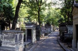 Viale alberato nel Cimitero Pere Lachaise di ...