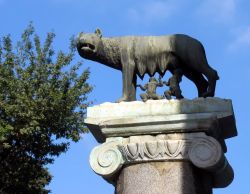 Lupa con Romolo e Remo, il simbolo di Roma su ...