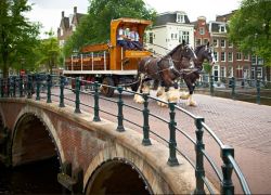 Il tradizionale trasporto della Birra Heineken ad Amsterdam, con il carro tirato dai cavalli frisoni - © Heineken Experience / www.heineken.com