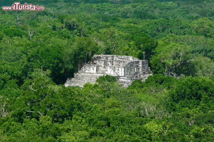 Antica città maya e foreste tropicali protette di Calakmul, Campeche (Messico) - Si tratta di una renomination ed estensione dei 3000 ettari del patrimonio storico mondiale culturale esistente dell'antica città maya di Calakmul, nello stato di Campeche (Messico), che ora diventa finalmente una proprietà naturale e culturale mista.
Il sito si trova nella parte centro-meridionale della penisola dello Yucatan, e comprende i resti dell'importante città maya di Calakmul, immersa nella foresta tropicale delle Tierras Bajas. La città ha svolto un ruolo chiave nella storia di questa regione per oltre dodici secoli ed è caratterizzata da strutture ben conservate che forniscono un quadro esplicito della vita in un'antica capitale Maya. La struttura rientra anche all'interno della zone con maggiore biodiversità della Mesoamerica. È la terza zona più grande al mondo di questo genere e comprende tutti gli ecosistemi tropicali e subtropicali che si susseguono dal Messico centrale al Canale di Panama  - © PRILL / Shutterstock.com