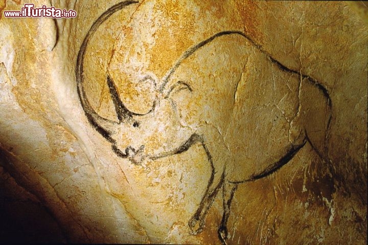 Grotta decorata di Pont d'Arc, nota come Grotte Chauvet-Pont d'Arc, Ardèche (Francia) - Situato in un altopiano calcareo del fiume Ardèche nel sud della Francia, il sito contiene alcuni tra i primi disegni figurativi noti e meglio conservati al mondo, risalenti al periodo Aurignaziano (30000-32000 anni fa), che lo rende una testimonianza eccezionale dell'arte preistorica. La grotta fu chiusa da un masso caduto circa 20000 anni fa ed è rimasta chiusa fino alla sua scoperta nel 1994, contribuendo così al mantenimento delle condizioni originali. Oltre mille immagini sono state finora inventariate sulle sue pareti, che combinano una varietà di motivi antropomorfi ed animali. Le immagini sono di eccezionale qualità estetica e dimostrano la conoscenza di una serie di tecniche, tra cui l'uso sapiente del colore, la combinazione di pittura ed incisione, la precisione anatomica, la tridimensionalità ed il movimento. Le raffigurazioni comprendono diverse specie animali pericolose difficili da osservare a quel tempo come mammut, orsi, gatti selvatici, rinoceronti, bisonti e uri, così come 4000 reperti classificati di fauna preistorica ed una varietà di impronte umane. È attualmente in costruzione una replica della grotta, la cui apertura è prevista nel mese di aprile 2015 - © Inocybe / www.wikipedia.org