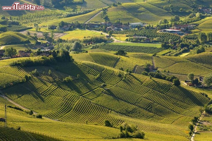 I vigneti del Piemonte: Langhe-Roero e Monferrato, Italia - L'area comprende cinque aree viticole distinte ed il Castello di Cavour, un nome emblematico sia nello sviluppo dei vigneti che della storia italiana. Si trova nella parte meridionale del Piemonte, tra il fiume Po e l'Appennino ligure, e comprende l'intera gamma di processi tecnici ed economici relativi alla viticoltura e la vinificazione che caratterizzano la regione da secoli. Tracce di polline di vite risalente al V secolo a.C. sono state ritrovate nella zona, quando il Piemonte era un luogo di contatto e di scambi tra Etruschi e Celti; non a caso, parole etrusche e celtiche, in particolare quelle legate al vino, sono ancora oggi presenti nel dialetto locale. Durante l'Impero Romano, Plinio il Vecchio citava il Piemonte come una delle terre più favorevoli per la coltivazione di vigneti nell'Italia antica, mentre il geografo greco Strabone, vissuto a cavallo tra il I secolo a.C. ed il I d.C., ne menzionava le botti di vino  - © Rostislav Glinsky / Shutterstock.com