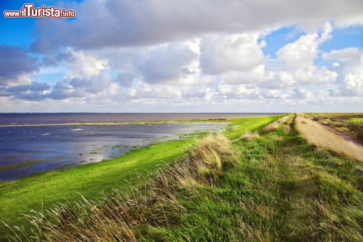 Mare dei Wadden, Danimarca, Germania e Olanda - Si tratta di un'estensione del sito del Mare dei Wadden olandese e tedesco, iscritto nella Lista del Patrimonio Mondiale nel 2009. Il Mare dei Wadden è il più grande sistema ininterrotto di zone intercotidali di sabbia e fango nel mondo. L'estensione completa ora copre la maggior parte della zona di conservazione marittima danese del Mare dei Wadden, nonché un'estensione marittima della Dutch Wadden Sea Conservation Area e dei Parchi Nazionali Tedeschi del Wadden Sea della Bassa Sassonia e dello Schleswig-Holstein - © Bo Valentino / Shutterstock.com