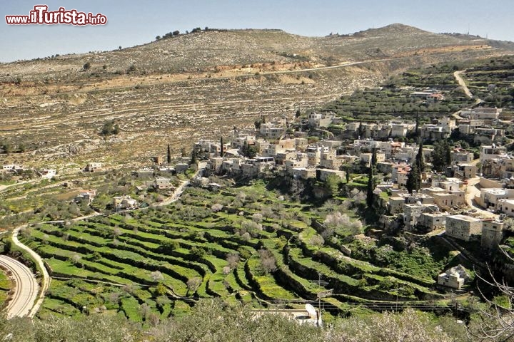 Palestina: terra di ulivi e viti - Paesaggio culturale di Gerusalemme meridionale, Battir Palestina (Israele) - È il territorio che si trova pochi chilometri a sud-ovest di Gerusalemme, negli altopiani centrali tra Nablus e Hebron. Il paesaggio collinare di Battir comprende una serie di valli dedite all'agricoltura. Le valli, note come widian, presentano caratteristici terrazzamenti in pietra, alcuni dei quali sono coltivati ed irrigati come orti, mentre altri sono asciutti e coltivati a viti ed ulivi. Lo sviluppo delle terrazze agricole in questa regione montuosa è supportato da una rete di canali di irrigazione alimentati da sorgenti sotterranee; un sistema tradizionale di distribuzione viene poi utilizzato per condividere l'acqua raccolta attraverso questa rete tra le famiglie del vicino villaggio di Battir.