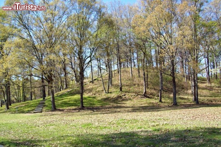 Terrapieni monumentali del Poverty Point, Lousiana (Stati Uniti d'America) - Questi terrapieni devono il proprio nome ad una piantagione del XIX secolo che sorgeva vicino al sito. Il luogo è situato nella bassa valle del Mississippi su un terreno leggermente rialzato e stretto. Il complesso si compone di cinque tumuli, sei creste semi-ellittiche concentriche separate da depressioni poco profonde ed una piazza centrale; fu creato ed utilizzato per scopi residenziali e cerimoniali da una società di cacciatori-raccoglitori-pescatori tra il 3700 ed il 3100 a.C. La ricerca non ha ancora chiarito se il complesso avesse una funzione residenziale stabile o se invece fosse un accampamento occupato solo temporaneamente durante le cerimonie delle fiere commerciali. Si tratta di una costruzione in terra davvero notevole per il Nord America, che non fu superata per complessità e dimensioni per almeno 2000 anni  - © Kniemla / www.wikipedia.org