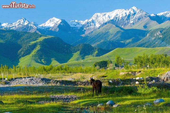 Vie della Seta: la rete di strade del Corridoio di Chang'an-Tianshan, tra Cina, Kazakistan e Kirghizistan - È una sezione di 5000 chilometri della vasta rete di strade della Via della Seta, che si estende da Chang'an (Luoyang), la capitale della Cina nelle dinastie Han e Tang, alla Regione Zhetysu dell'Asia centrale. Prese forma tra il II secolo a.C. ed il I secolo d.C., rimanendo in uso fino al XVI secolo, collegando civiltà diverse e facilitando gli scambi commerciali su vasta portata, ma anche le convinzioni religiose, le conoscenze scientifiche, l'innovazione tecnologica, le pratiche culturali e le arti. I trentatré siti inclusi nella rete di rotte comprendono città e complessi architettonici di diversi imperi e regni Khan, insediamenti commerciali, templi rupestri buddisti, antichi sentieri, torri e sezioni della Grande Muraglia, così come fortificazioni, tombe ed edifici religiosi - © Krishna.Wu / Shutterstock.com