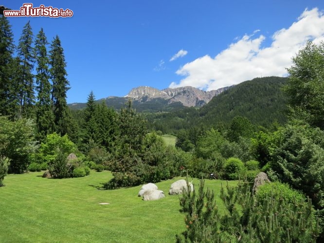 Immagine Il paesaggio intorno all' Hotel Bad Schorgau in Alto Adige