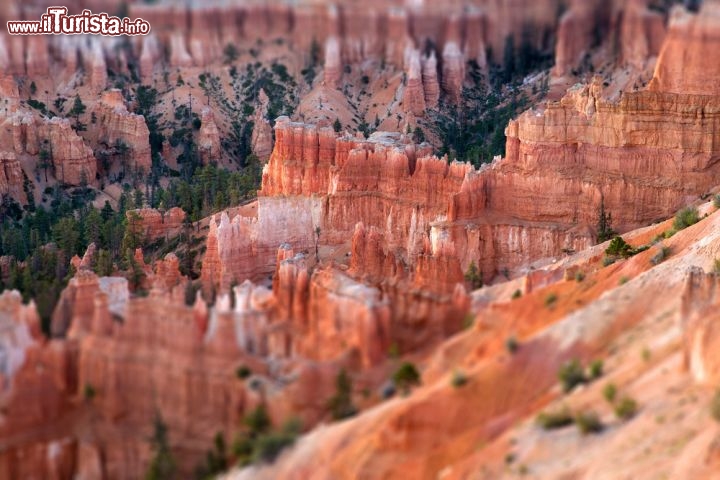 Foto del parco nazionale Bryce Canyon in tilt-shift ovvero ripreso con obiettivo decentrabile e basculante (effetto miniatura) - © Rob van Esch / Shutterstock.com