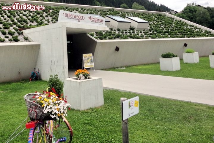 Immagine Il parco del benessere Vitalpinum ad Assling vicino a Lienz