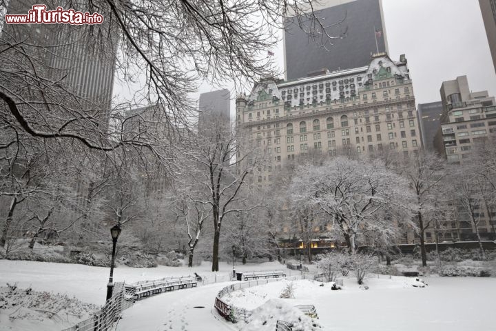 Immagine Central Park in inverno: in secondo piano il profilo del Plaza Hotel, uno degli aberghi di lusso di New York City - © John A. Anderson / Shutterstock.com
