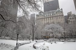 Central Park in inverno: in secondo piano il profilo del Plaza Hotel, uno degli aberghi di lusso di New York City - © John A. Anderson / Shutterstock.com