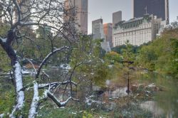 Plaza Hotel, l'albergo storico di New York City con vista su Central Park a Manhattan - © John A. Anderson / Shutterstock.com