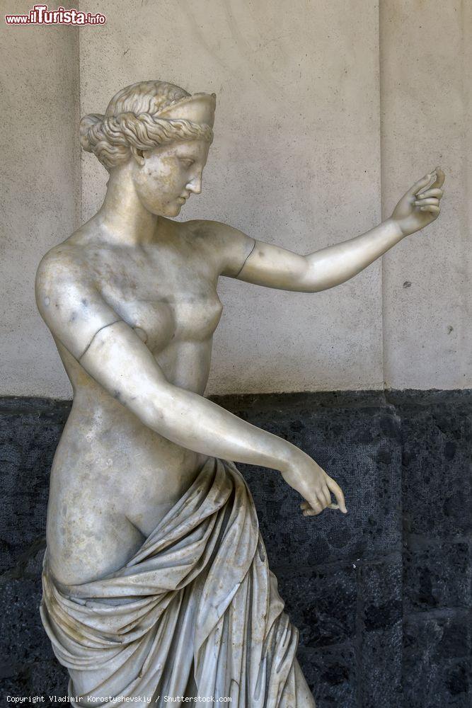 Immagine Statua romana di Afrodite proveniente dall'Anfiteatro Campano esposta al Museo Archeologico Nazionale Campano - © Vladimir Korostyshevskiy / Shutterstock.com