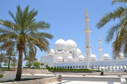 Grande Moschea, Abu Dhabi: la stupenda moschea della capitale degli Emirati Arabi Uniti è visitabile anche dai non fedeli tutti i giorni dalla domenica al giovedì. Il venerdì, ...