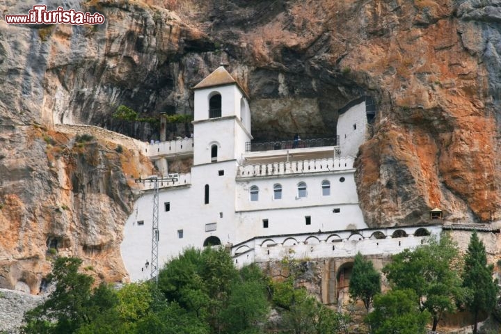 Il monastero di Ostrog, Montenegro -  E' un rassicurante guscio bianco incastonato nella montagna. Se non sapessimo che è stato fondato nel XVII secolo da San Vasilije Ostroski – ovvero San Basilio di Ostrog, vescovo di Zahumlje in Erzegovina – potremmo credere che si trovi qui da tempi immemorabili, e la montagna vi sia cresciuta tutt’intorno, inglobandolo. In effetti è tutt’uno col monte Ostrog, da cui ha preso il nome, e se ne sta di vedetta sulla valle del fiume Zeta ad attendere in silenzio i numerosi visitatori: ogni anno sono moltissimi i fedeli che si recano in questo luogo miracoloso, che per popolarità e devozione viene subito dopo il Sepolcro di Cristo e il Monte Athos. A dire il vero il monastero è diviso in due parti, una bassa e una più alta, accessibile mediante una strada tortuosa che si inerpica lungo il monte, e il suo aspetto attuale è dovuto a una ristrutturazione del 1923-26, dopo che un grave incendio aveva danneggiato parte dell’edificio originario. All’arrivo, nella chiesa bassa dedicata alla Purificazione della Vergine, ci si trova al cospetto delle reliquie di San Vasilije, dopodiché si sale alla chiesa di Santa Croce che custodisce un’altra reliquia, ovvero le mani del martire Stanko, punito con l’amputazione delle mani perché si era dichiarato Cristiano di fronte ai turchi. Poi ci sono la tomba di San Vasilije, la fonte dell’acqua santa, la pianta di vite sacra e persino una granata tedesca del 1942, che durante la Seconda Guerra Mondiale colpì la porta della chiesa di Santa Croce ma miracolosamente si ruppe senza esplodere… la tradizione vuole che sia stato merito del Santo, deciso a proteggere il suo amato monastero. In certi momenti dell’anno il monastero è gremito di pellegrini, come nel giorni di San Vasilije o in quello dell’Assunzione della Vergine, quando decine di migliaia di persone si radunano qui per pregare, chiedere una guarigione o anche solo respirare l’atmosfera serena del luogo; chi vuole goderselo in solitudine, invece, può evitare le occasioni “ufficiali” e fare una gita in settimana, magari verso il tramonto. Avvicinandosi a piedi vedrà il monastero ingrandirsi sempre di più, bianco come una perla nella montagna, e all’arrivo sarà accolto dai monaci come se lo stessero aspettando. Indipendentemente dalla fede o dalla propria storia, i monaci di Ostrog regalano un sorriso e qualche parola a chiunque capiti sulla loro strada… provare per credere.
Come arrivare? Il monastero di Ostrog si trova sopra la pianura di Bjelopavlići, 23 km a nord di Danilovgrad (circa 40 minuti di macchina) e 21 km a sud di Nikšić (35 minuti), una sessantina di chilometri a nord dell’aeroporto di Podgorica, che ha collegamenti con Roma e altre città europee. Chi non ha a disposizione un’auto può raggiungere in autobus Bogetici, tra Nikšić e Danilovgrad, e proseguire in taxi fino al monastero: la strada è un po’ malmessa ma molto panoramica, di sicuro effetto - © AlenVL / Shutterstock.com

